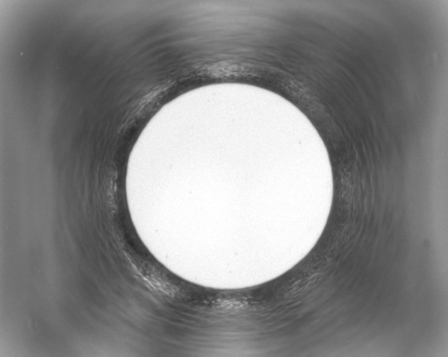 X0000060760592200512011516