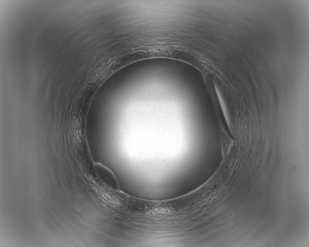 X0000060760593200512011516