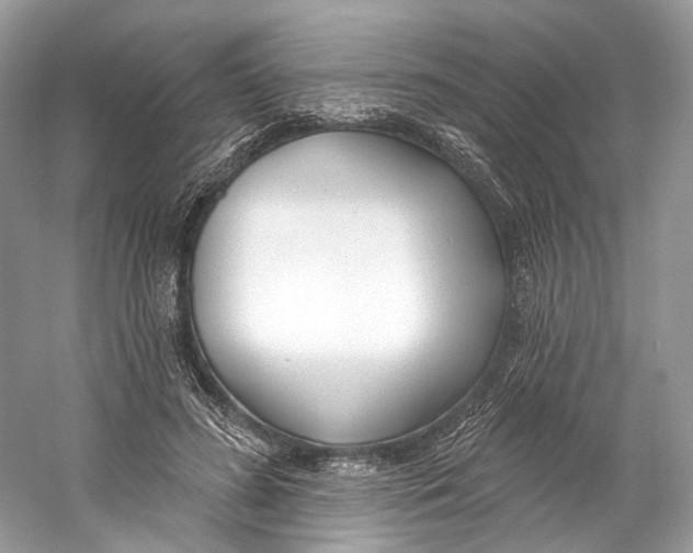 X0000060760596200512011516