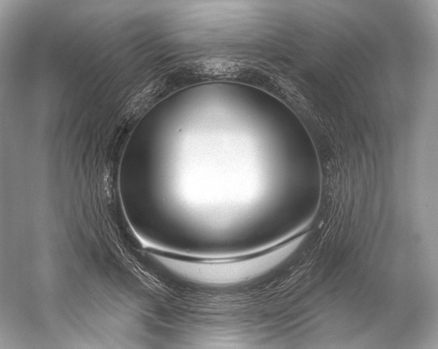 X0000060760597200512011516