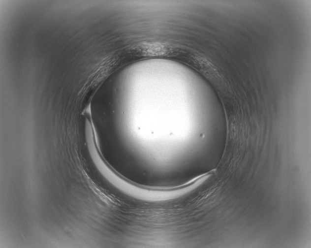 X0000060760598200512011516
