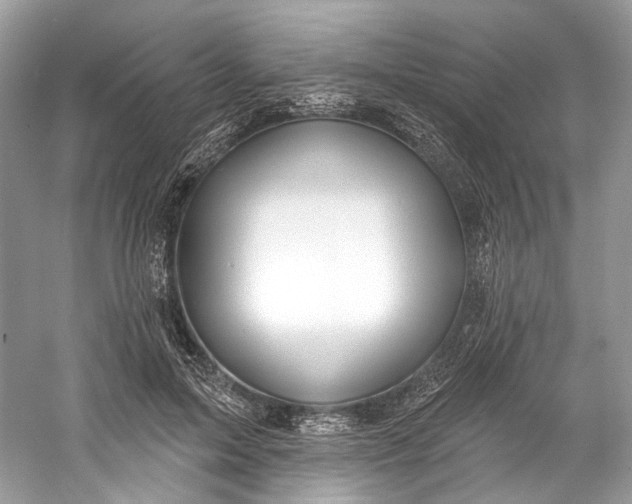 X0000060760599200512011516