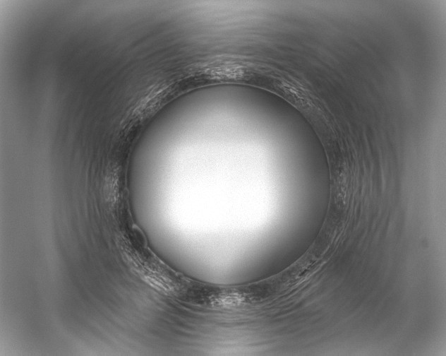 X0000060760600200512011516