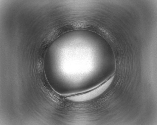 X0000060760601200512011516