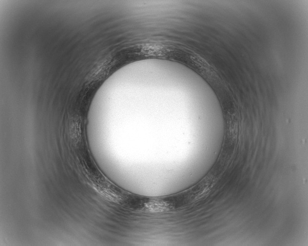 X0000060760603200512011516