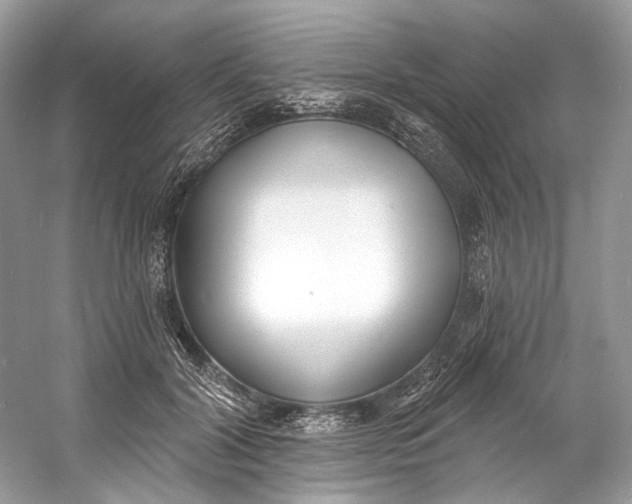 X0000060760604200512011516