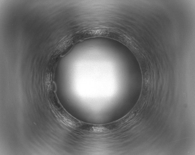 X0000060760605200512011516
