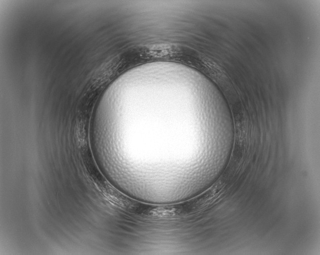 X0000060760606200512011516