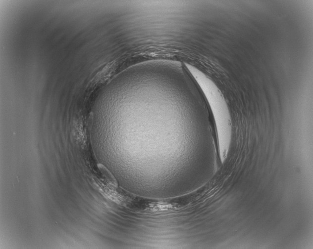 X0000060760607200512011516