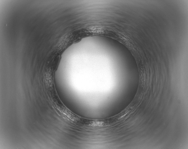 X0000060760609200512011515