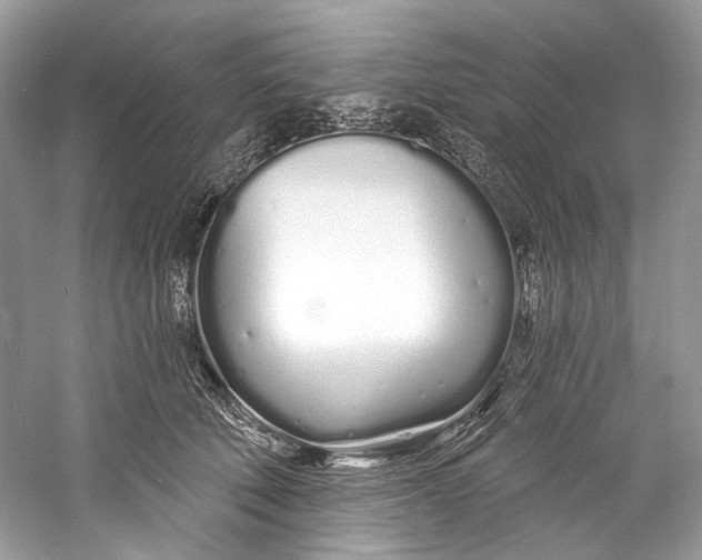 X0000060760610200512011515