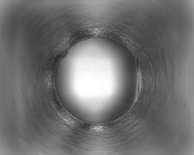 X0000060760611200512011515