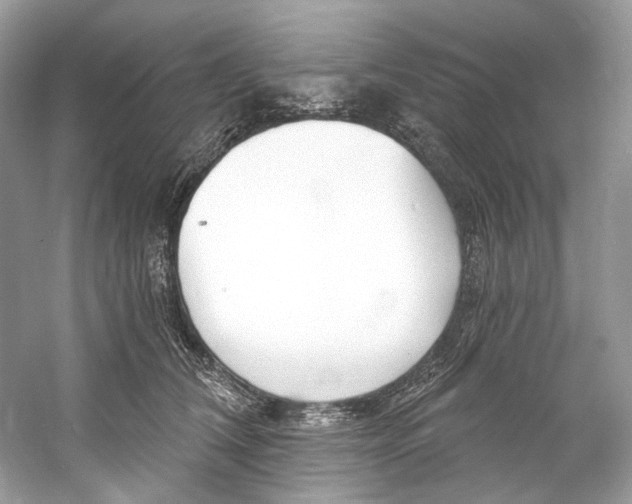 X0000060760612200512011515