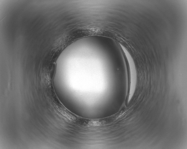 X0000060760613200512011515