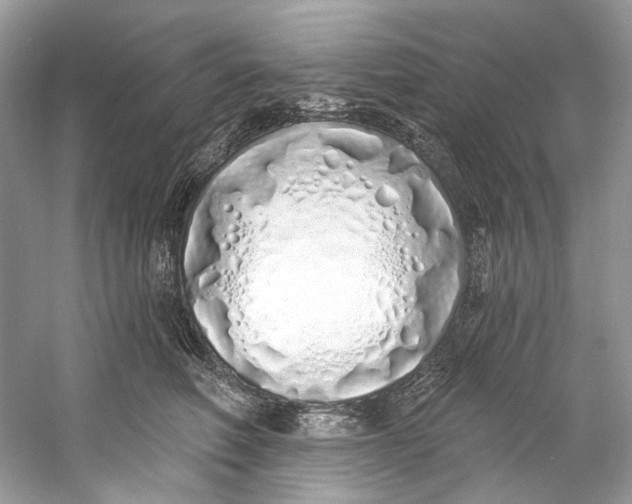X0000060760614200512011515