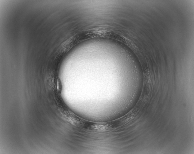 X0000060760615200512011515
