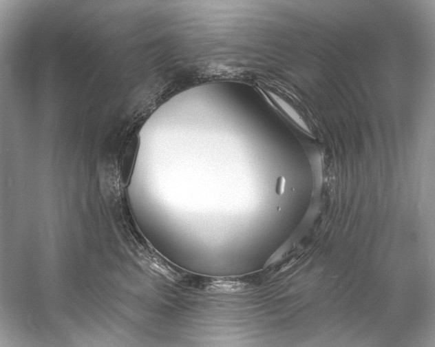X0000060760617200512011515