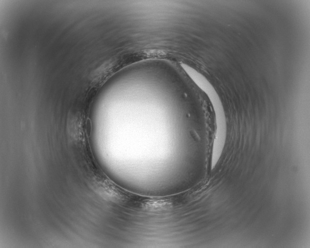 X0000060760619200512011515