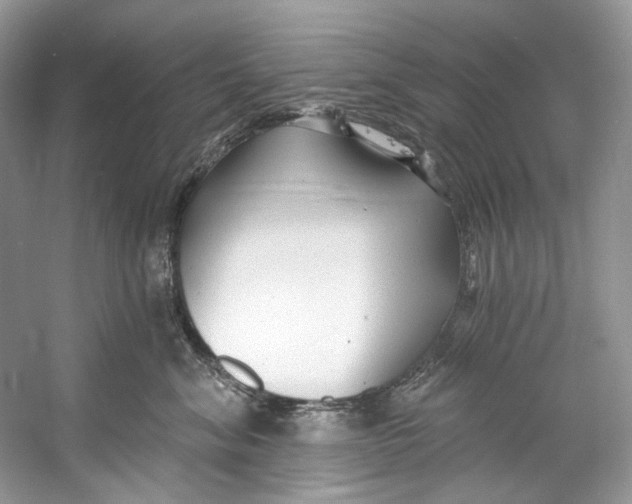 X0000060760620200512011515