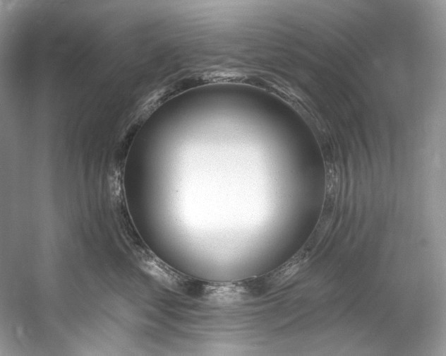 X0000060760621200512011515