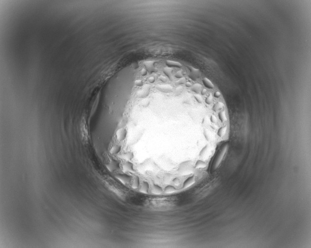 X0000060760622200512011515