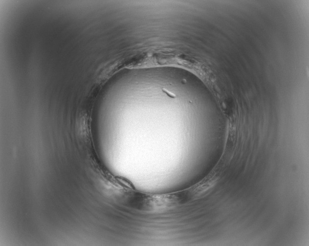 X0000060760623200512011515
