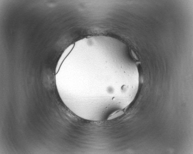 X0000060760624200512011515