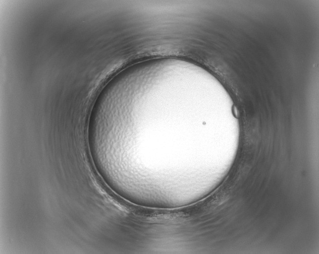 X0000060760625200512011514