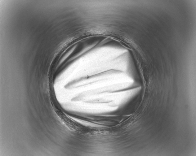 X0000060760626200512011514