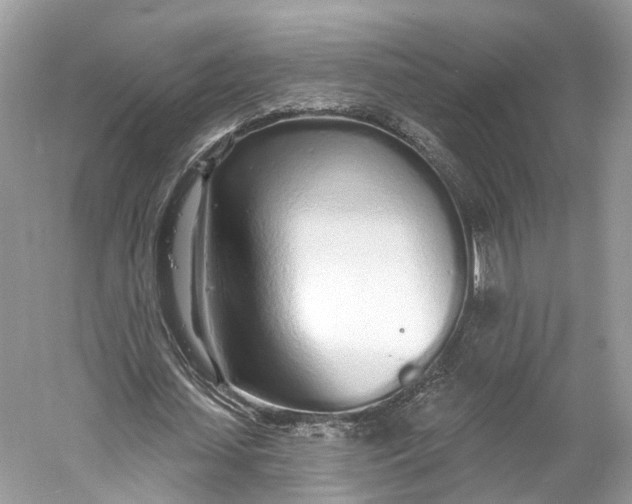 X0000060760627200512011514