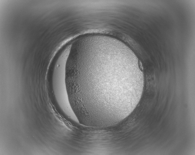 X0000060760628200512011514