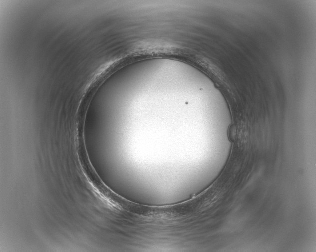 X0000060760629200512011514