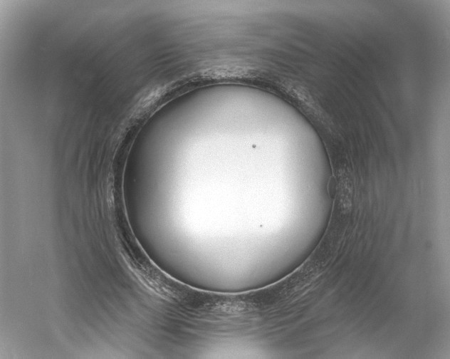 X0000060760631200512011514