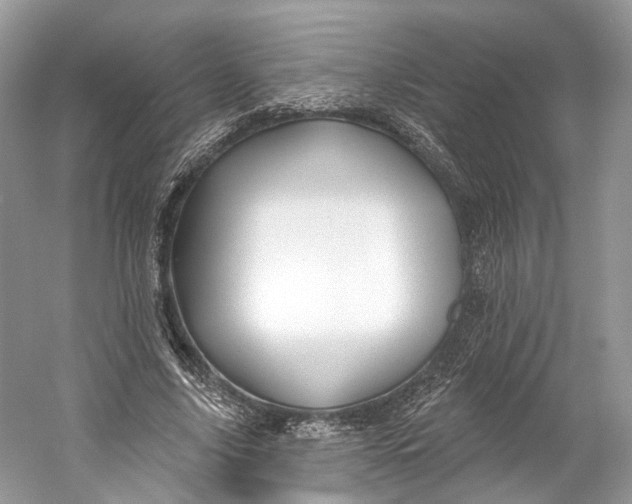 X0000060760635200512011515