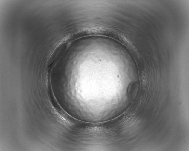 X0000060760637200512011515