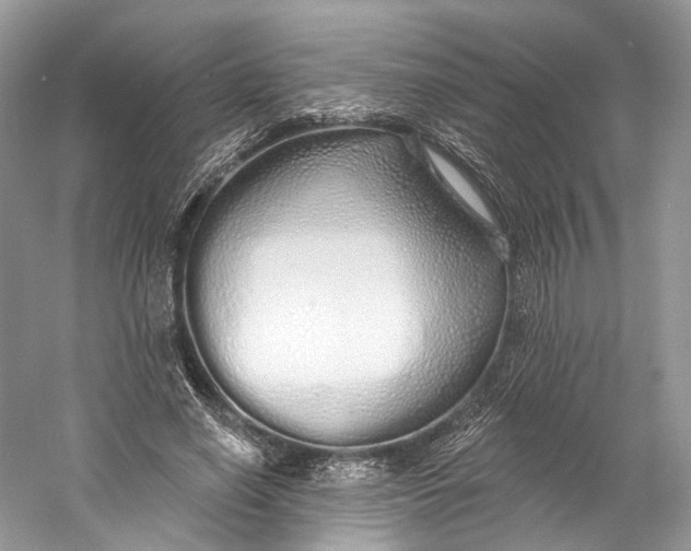 X0000060760638200512011515