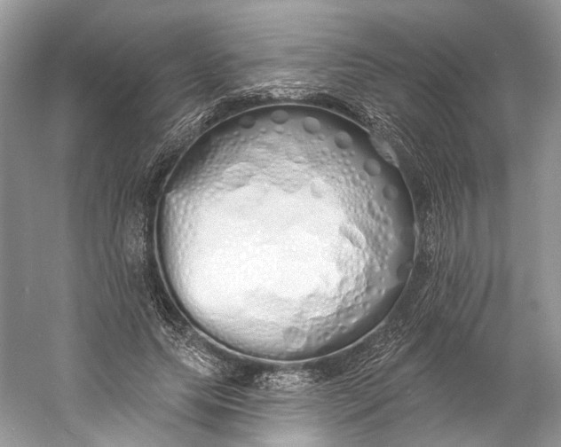 X0000060760639200512011515