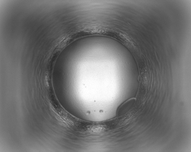 X0000060760643200512011515