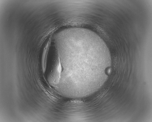 X0000060760644200512011515