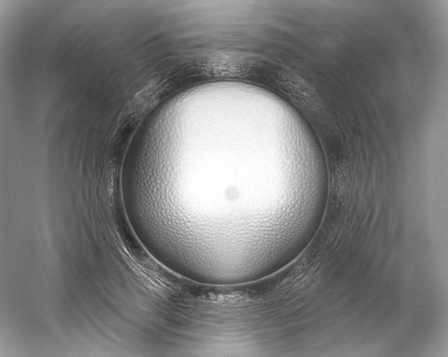 X0000060760645200512011515