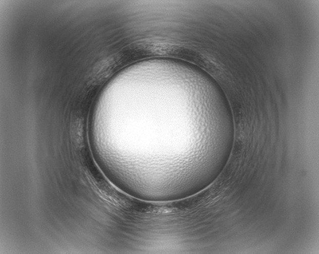 X0000060760646200512011515