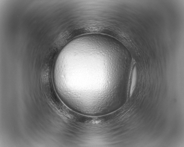 X0000060760647200512011515
