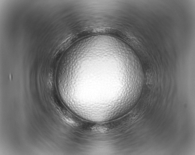 X0000060760648200512011515