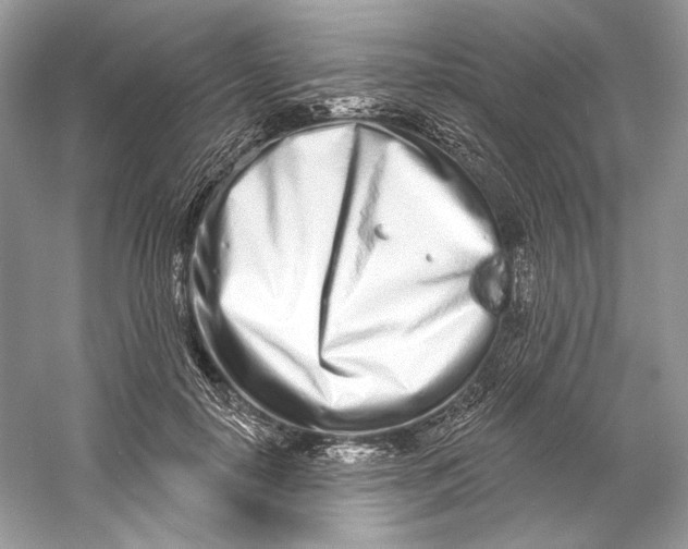 X0000060760650200512011515