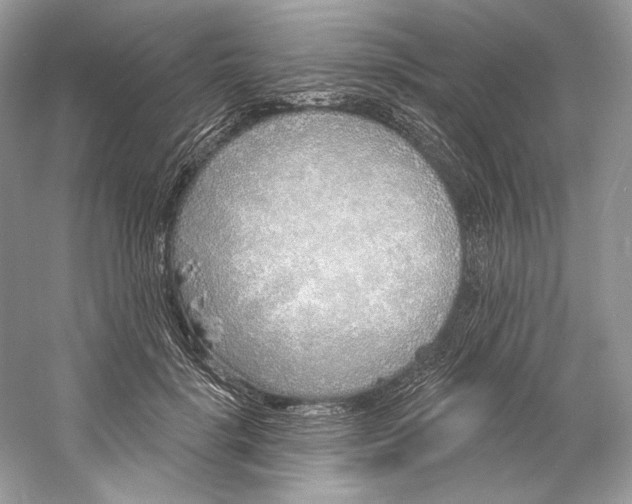 X0000060760652200512011515