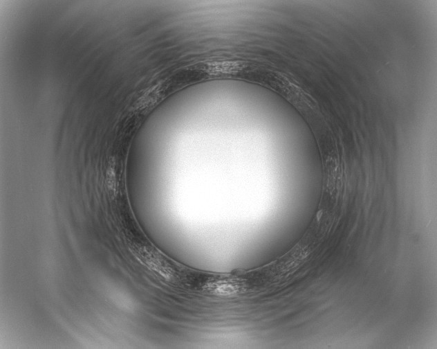 X0000060760655200512011515