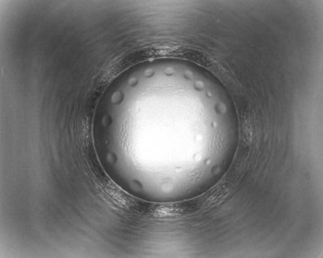X0000060760657200512011515