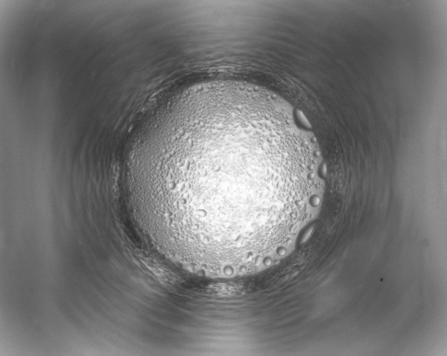 X0000060760660200512011515