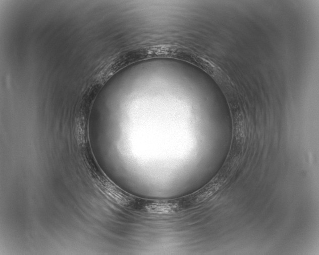 X0000060760661200512011515