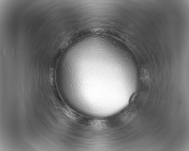X0000060760664200512011515